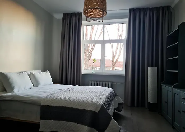 Rehouse Vokieciu Str.9, 2 Bedroom