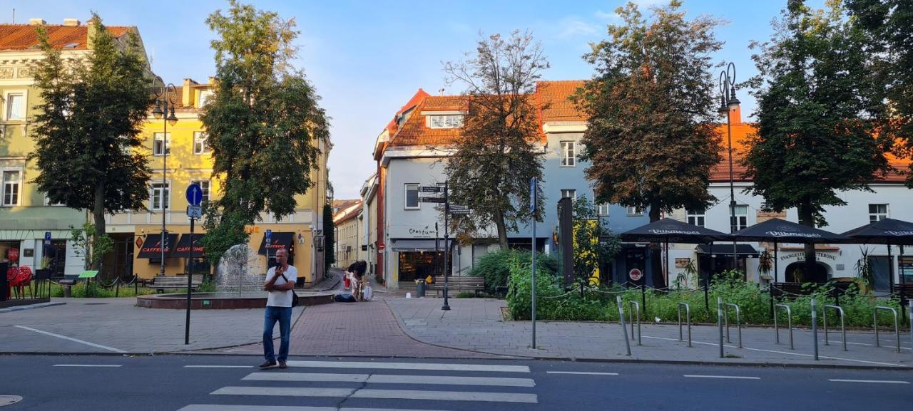 Rehouse Vokieciu Str.9, 2 Bedroom Leilighet *